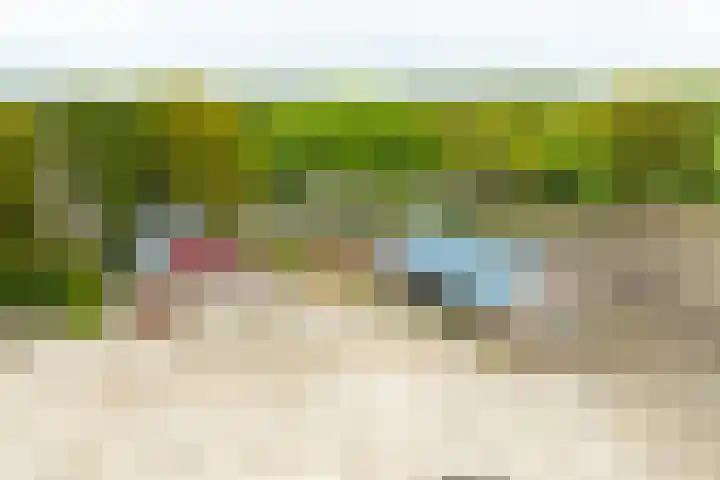 Heideweg 3 Harreveld thumbnail 36