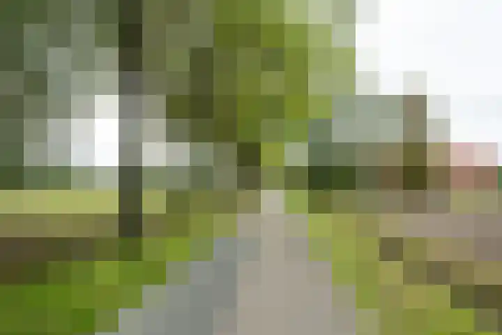 Heideweg 3 Harreveld thumbnail 42