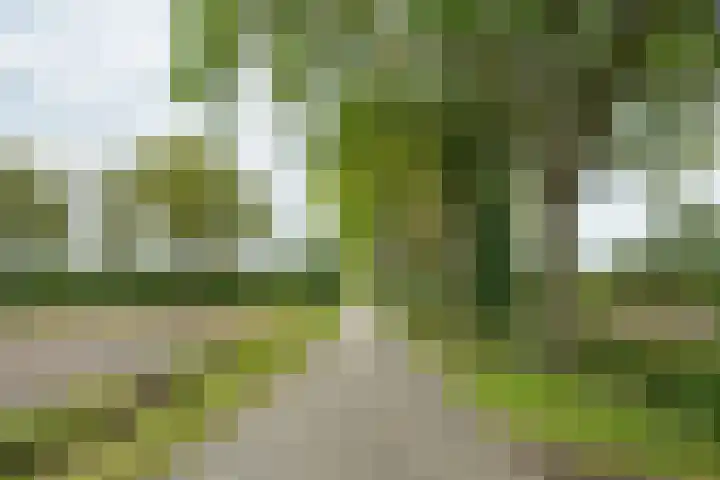 Heideweg 3 Harreveld thumbnail 43