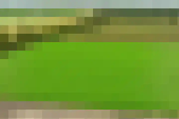 Heideweg 3 Harreveld thumbnail 44