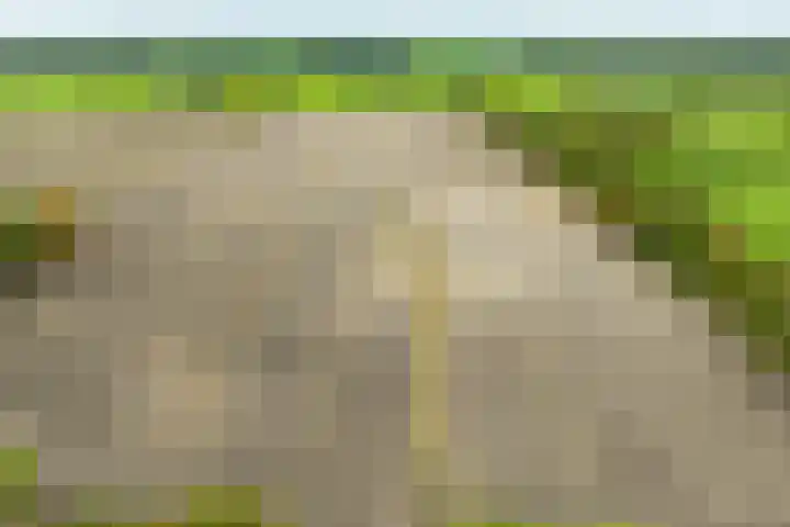 Heideweg 3 Harreveld thumbnail 46
