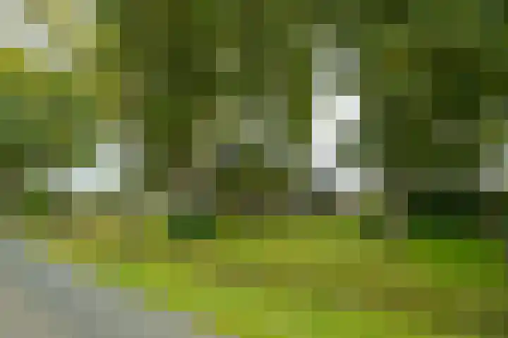 Heideweg 3 Harreveld thumbnail 6