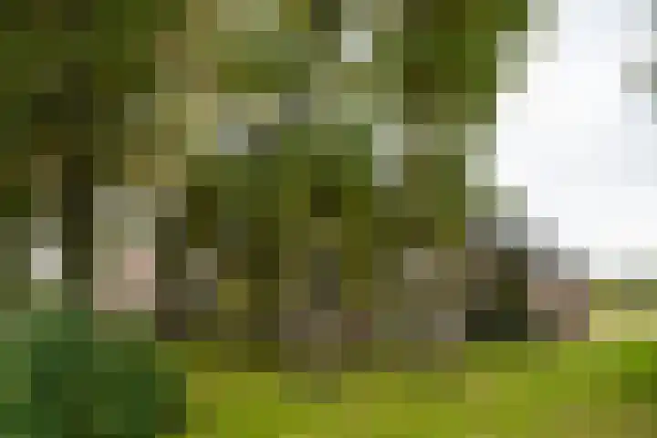 Heideweg 3 Harreveld thumbnail 7