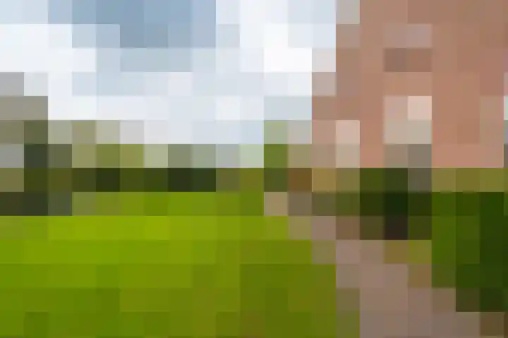 Heideweg 3 Onstwedde thumbnail 14