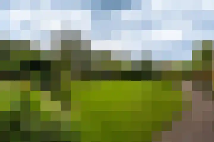 Heideweg 3 Onstwedde thumbnail 5