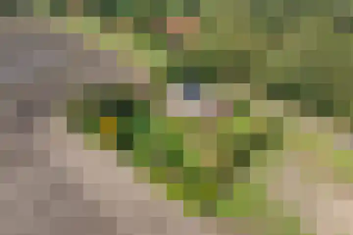 Heideweg 3 Onstwedde thumbnail 60