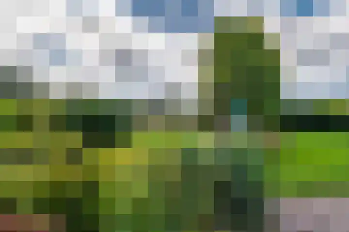 Heideweg 3 Onstwedde thumbnail 7