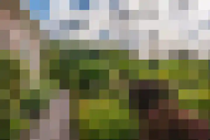 Heideweg 3 Onstwedde thumbnail 8