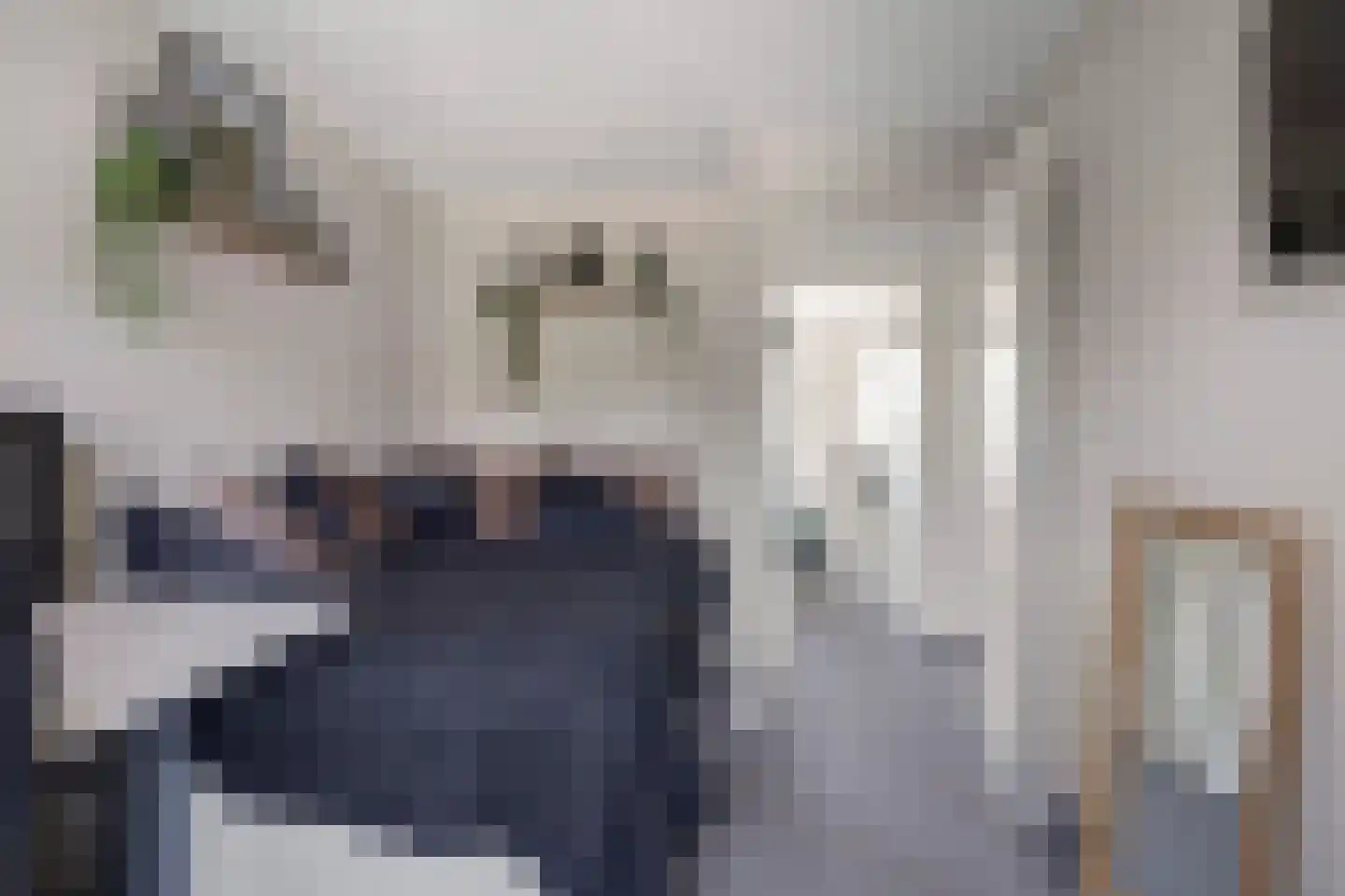 Heideweg 31 Maasbree thumbnail 25