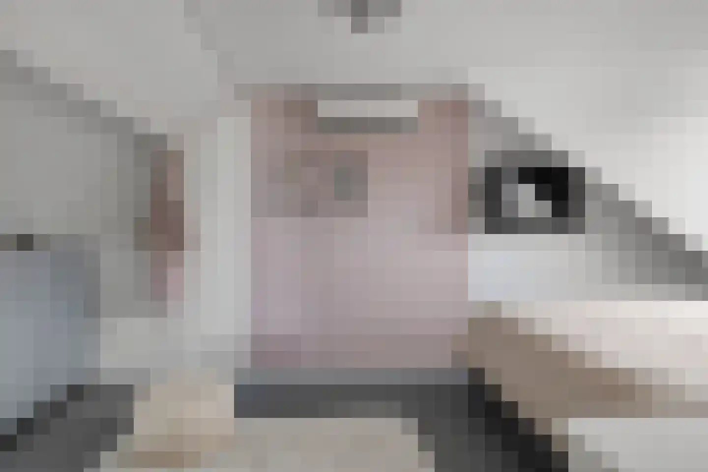 Heideweg 31 Maasbree thumbnail 33