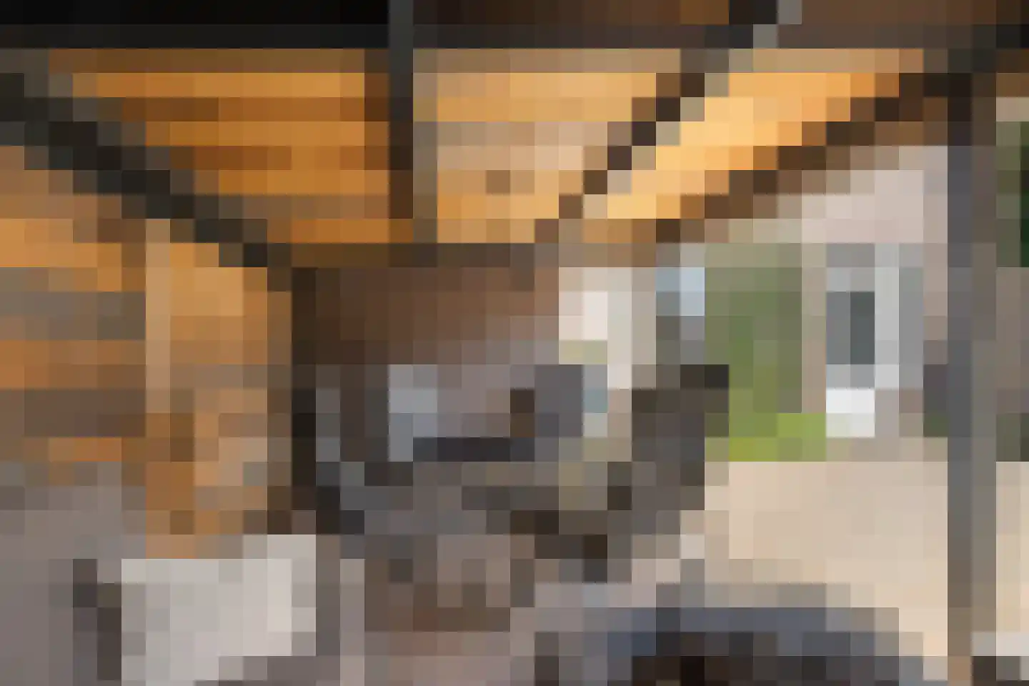 Heideweg 31 Maasbree thumbnail 39