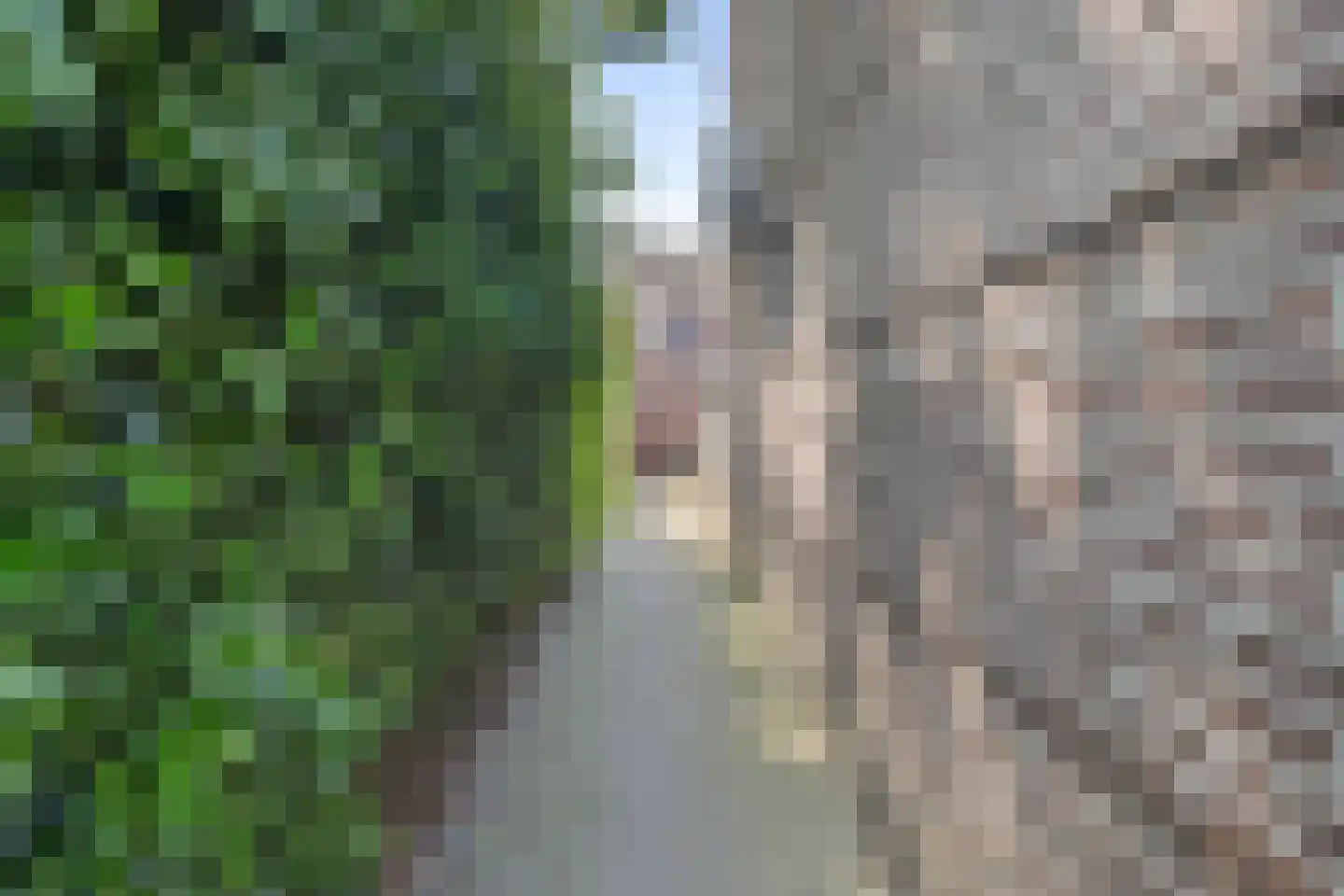 Heideweg 31 Maasbree thumbnail 43