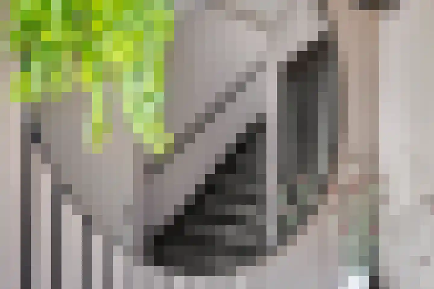 Heideweg 31 Maasbree thumbnail 5