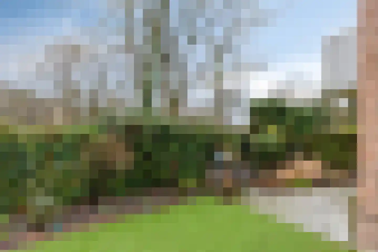 Heideweg 36 Arnhem thumbnail 43