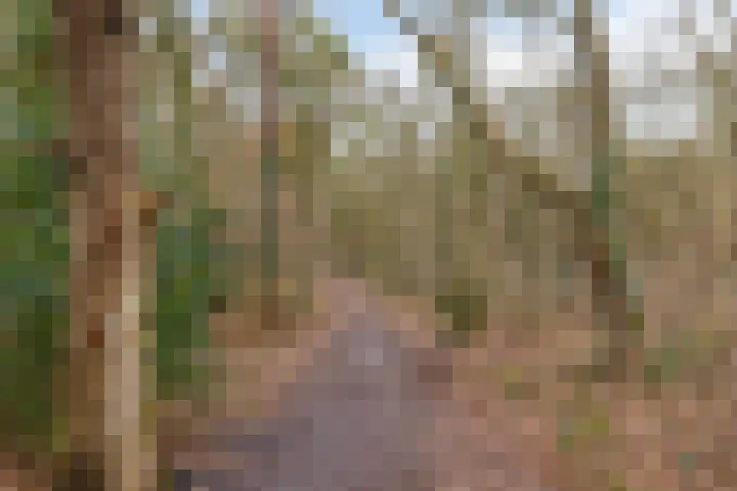 Heideweg 36 Arnhem thumbnail 46