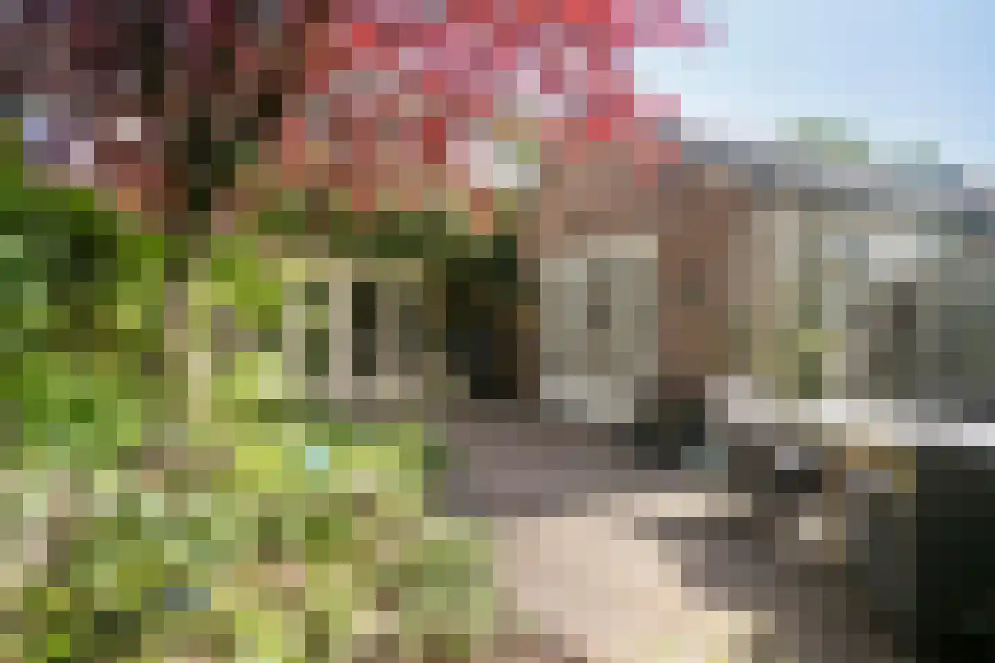 Heideweg 38 Soest thumbnail 29