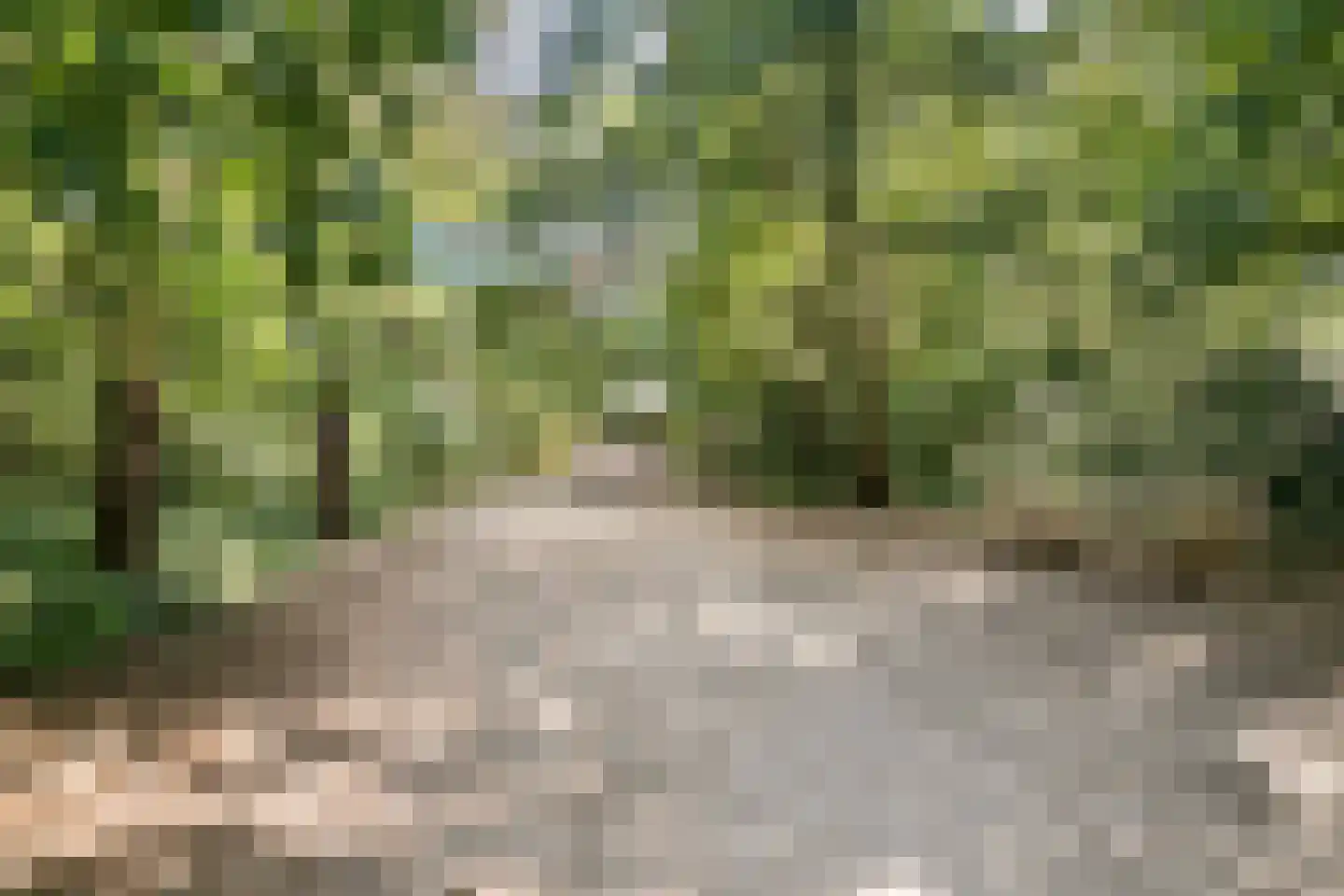 Heideweg 38 Soest thumbnail 38