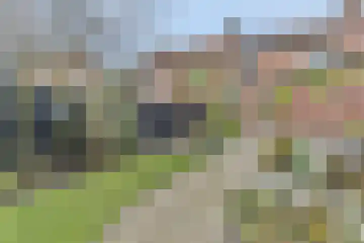 Heideweg 43 Hooglanderveen thumbnail 10