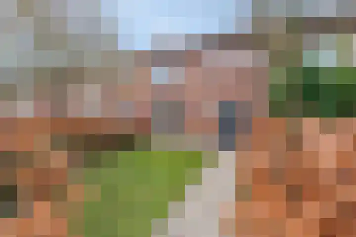 Heideweg 43 Hooglanderveen thumbnail 11