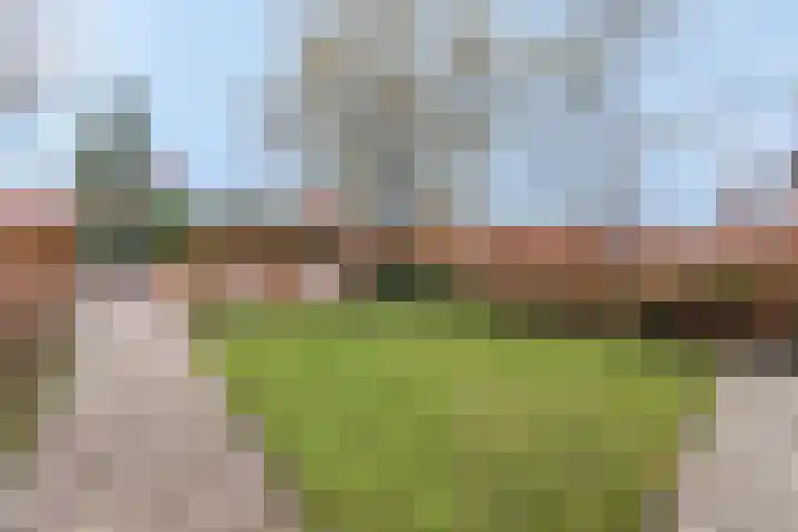Heideweg 43 Hooglanderveen thumbnail 12