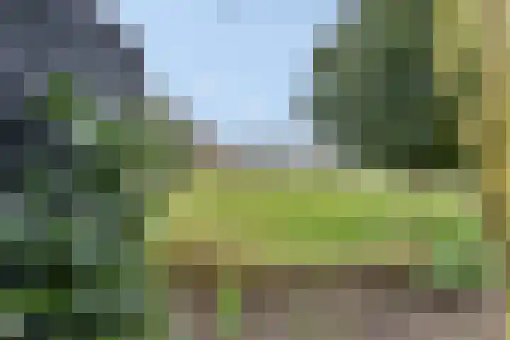Heideweg 43 Hooglanderveen thumbnail 9