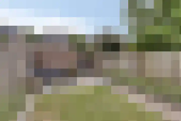 Heideweg 46 Maasbree thumbnail 29