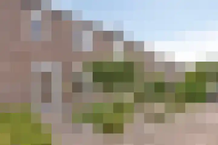 Heideweg 46 Maasbree thumbnail 35