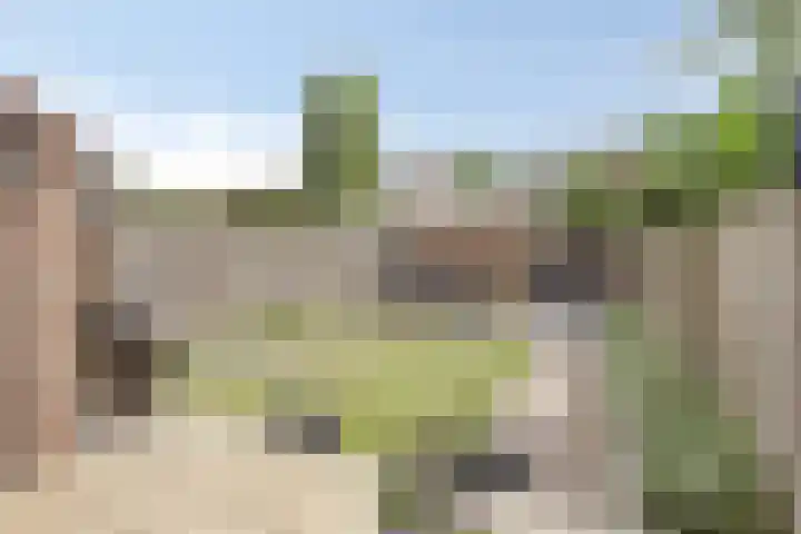 Heideweg 46 Maasbree thumbnail 4