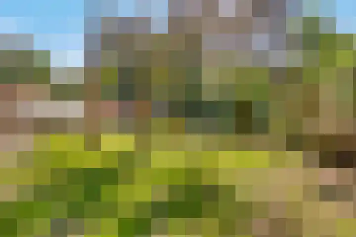 Heideweg 51 Holten thumbnail 33