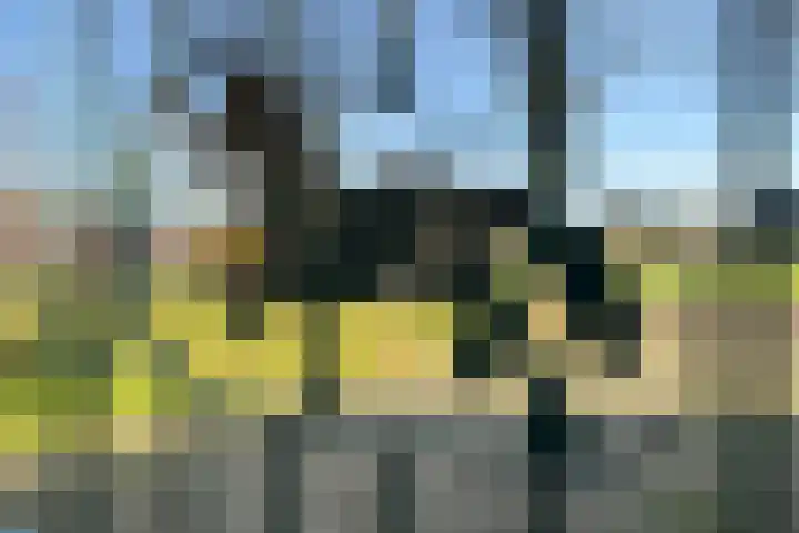 Heideweg 6 a Kelpen-Oler thumbnail 26