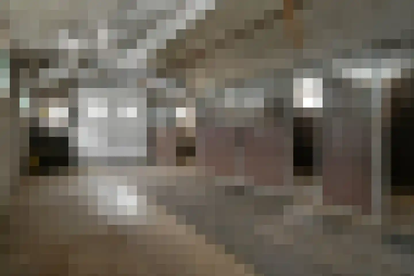 Heideweg 6 a Kelpen-Oler thumbnail 32