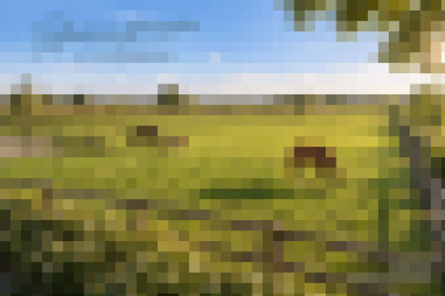 Heideweg 6 a Kelpen-Oler thumbnail 41