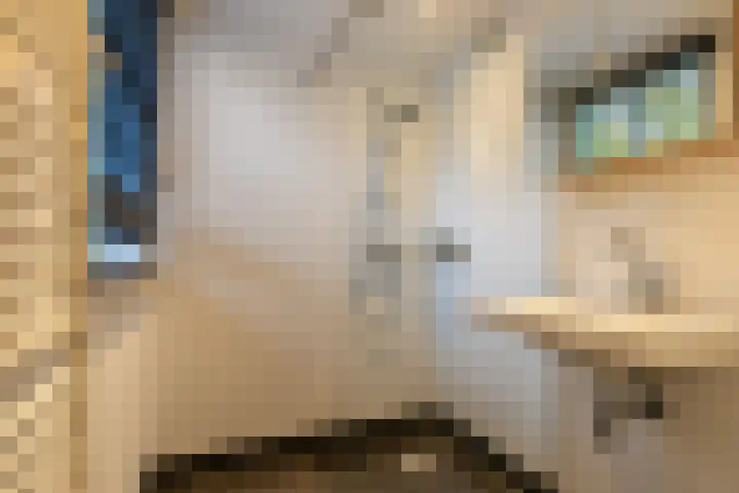 Heideweg 6 C Soest thumbnail 32