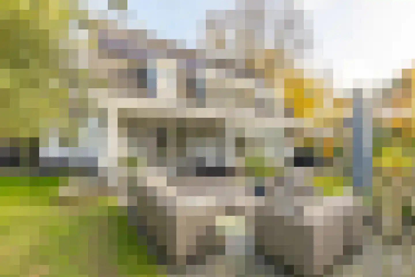 Heideweg 6 C Soest thumbnail 5