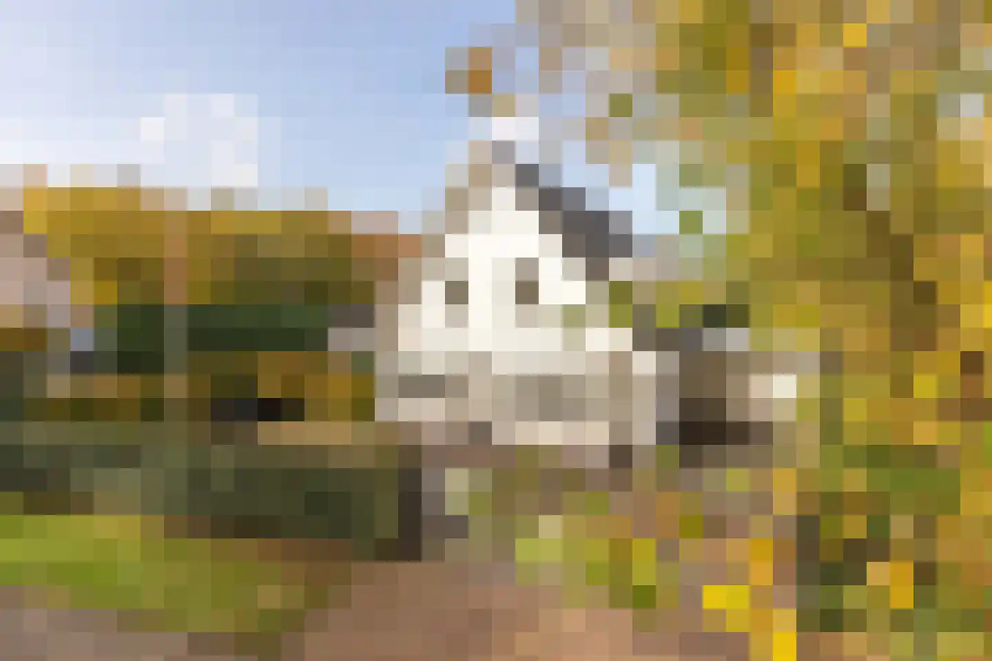 Heideweg 6 C Soest thumbnail 50
