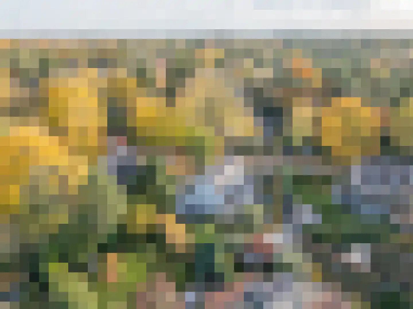 Heideweg 6 C Soest thumbnail 6