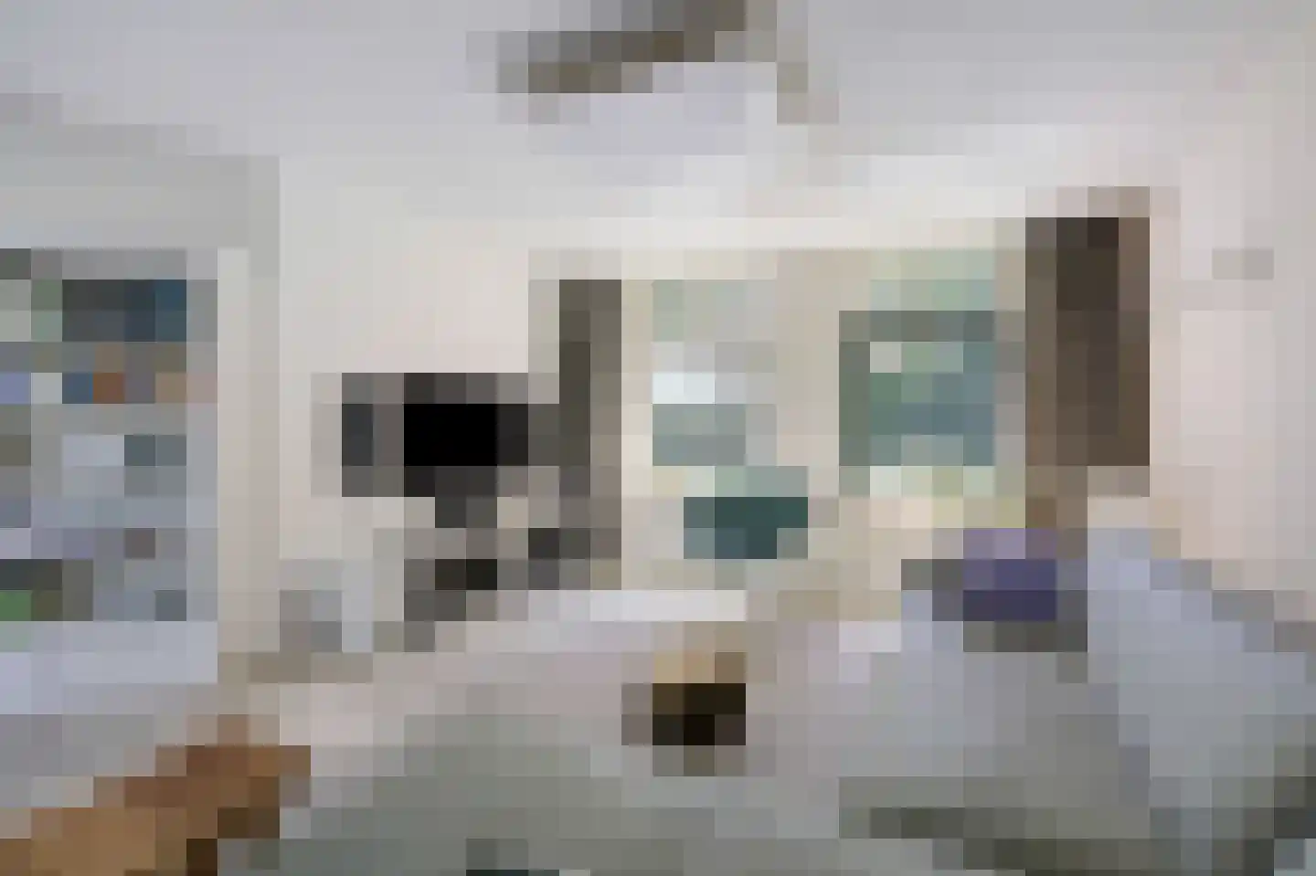 Heideweg 6 Overasselt thumbnail 10