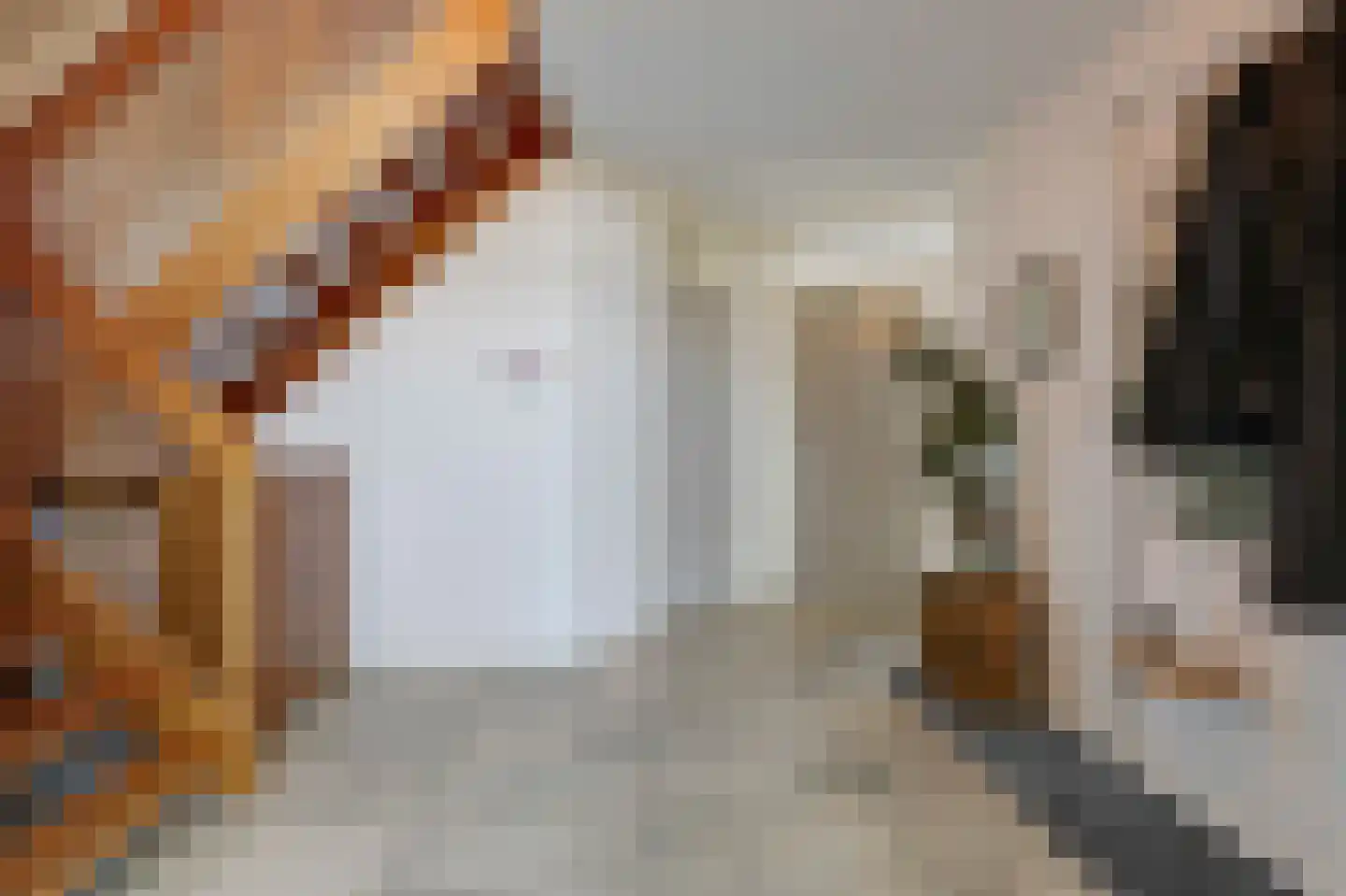 Heideweg 6 Overasselt thumbnail 23