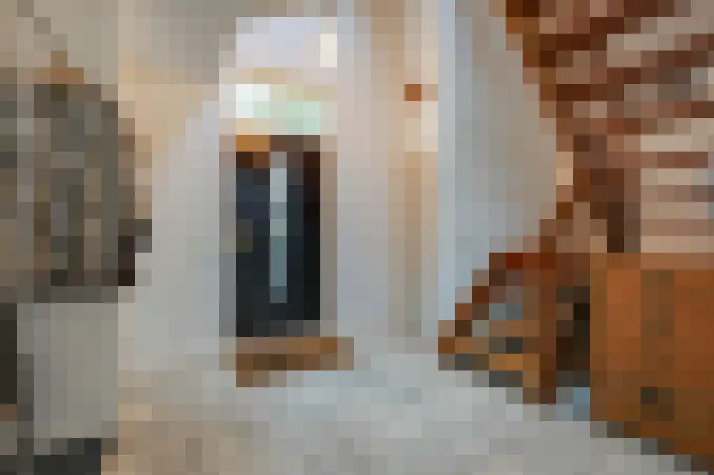 Heideweg 6 Overasselt thumbnail 25