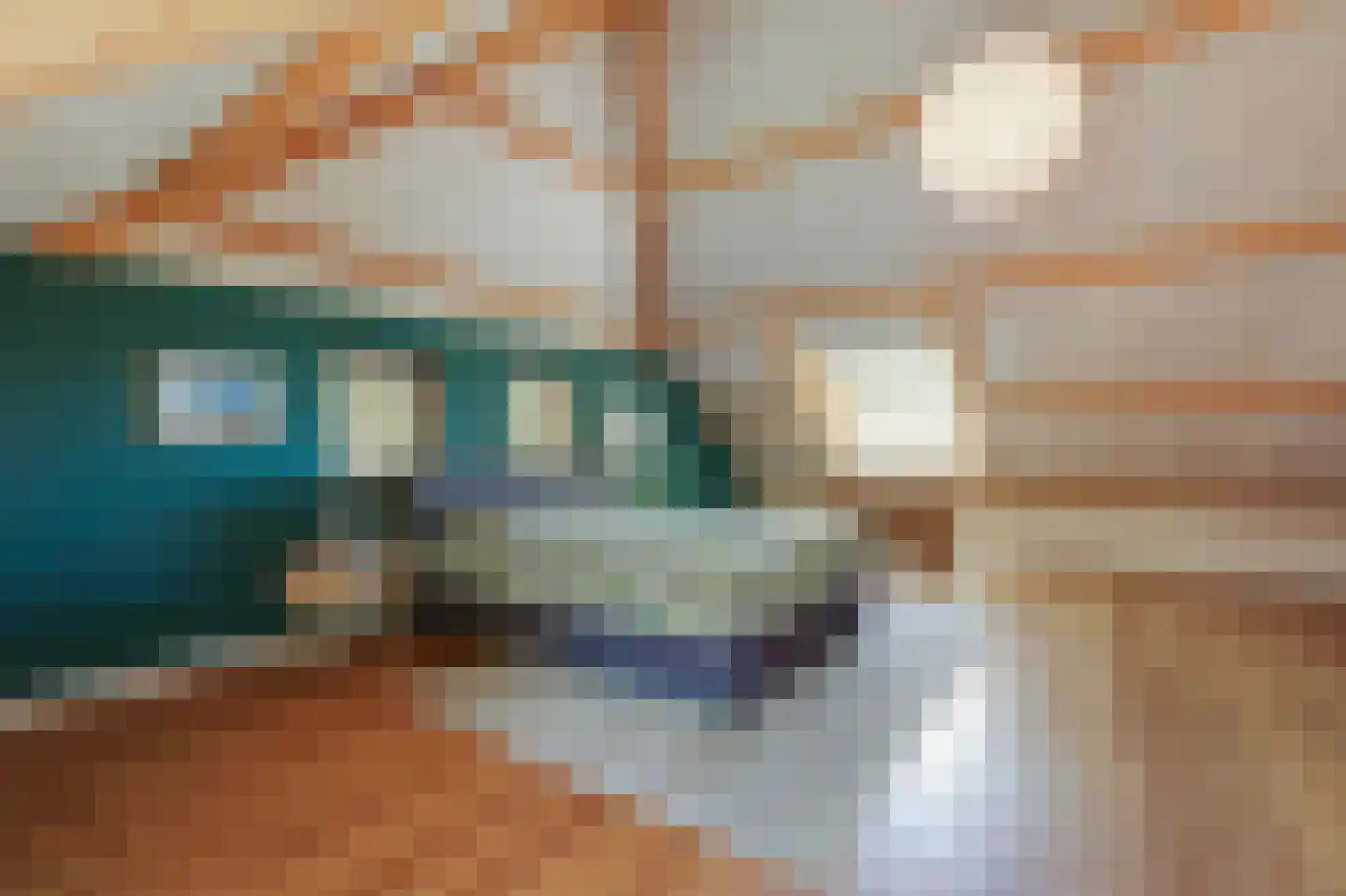 Heideweg 6 Overasselt thumbnail 31