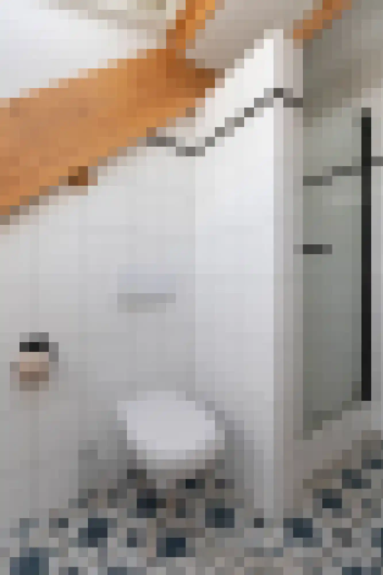 Heideweg 6 Overasselt thumbnail 35