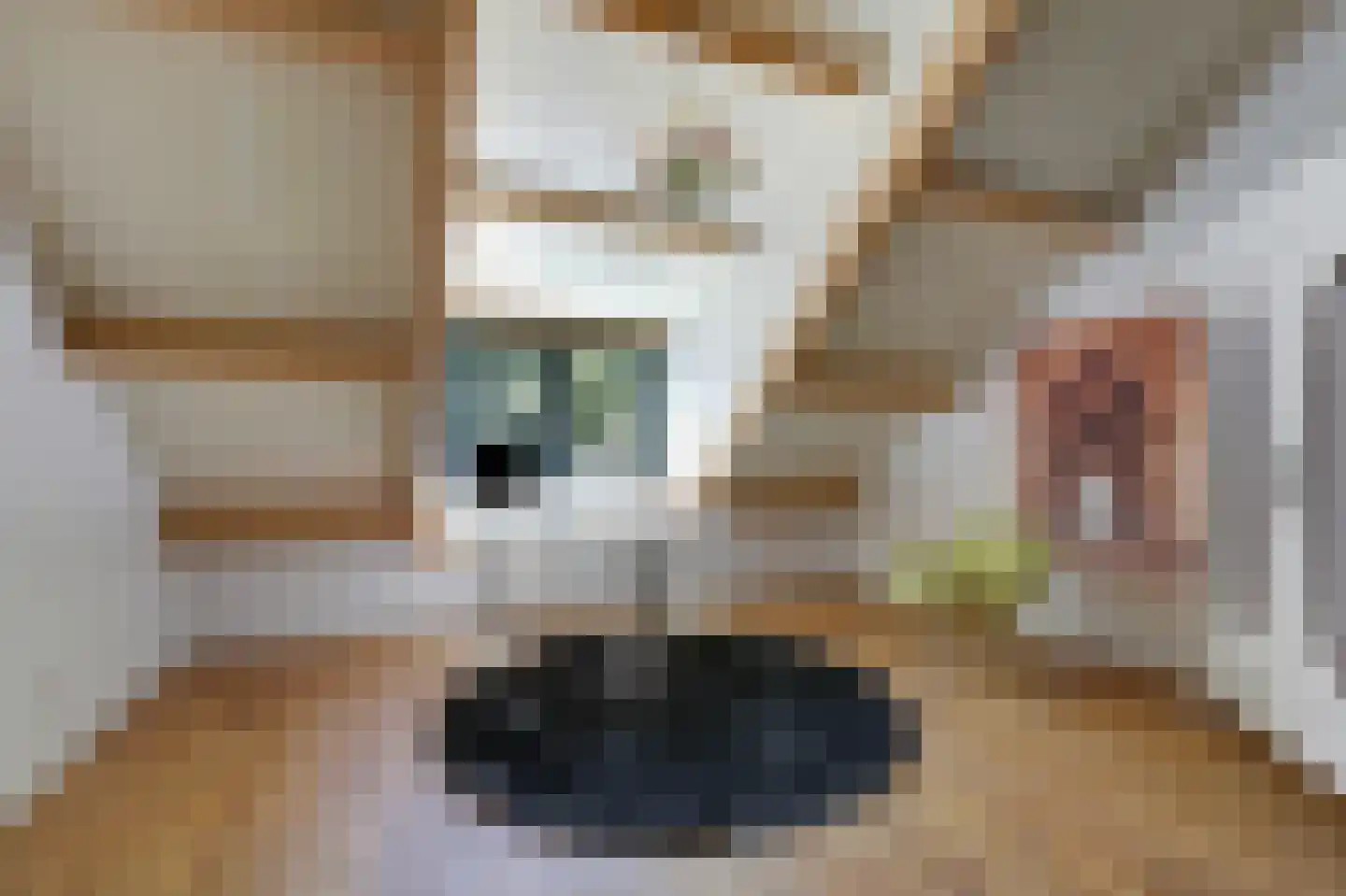 Heideweg 6 Overasselt thumbnail 38