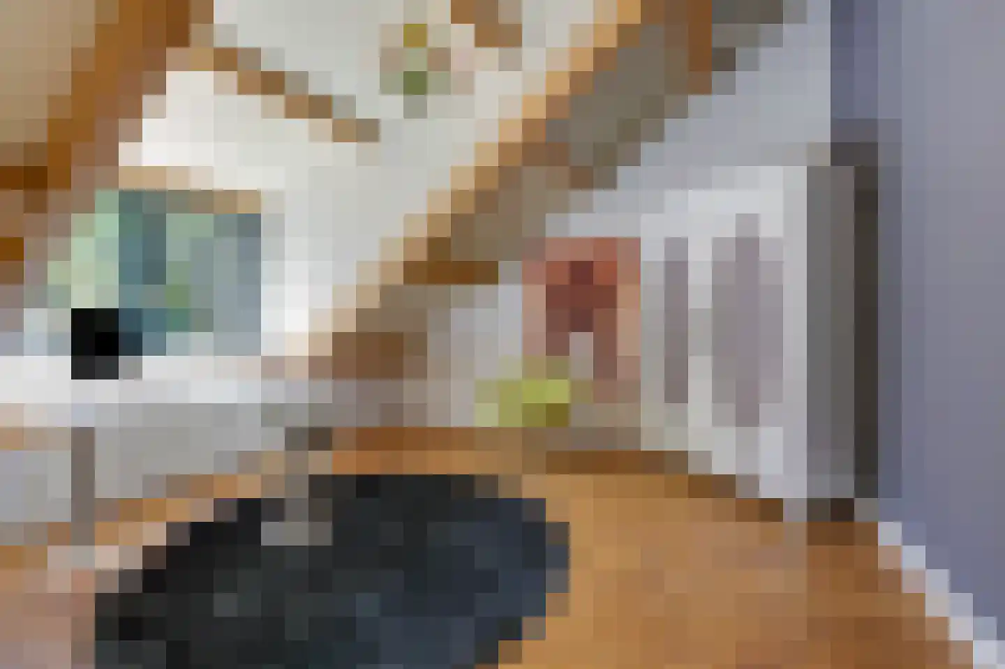 Heideweg 6 Overasselt thumbnail 39
