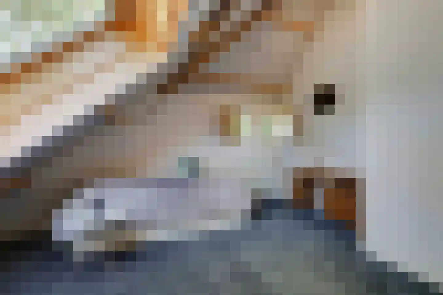 Heideweg 6 Overasselt thumbnail 41