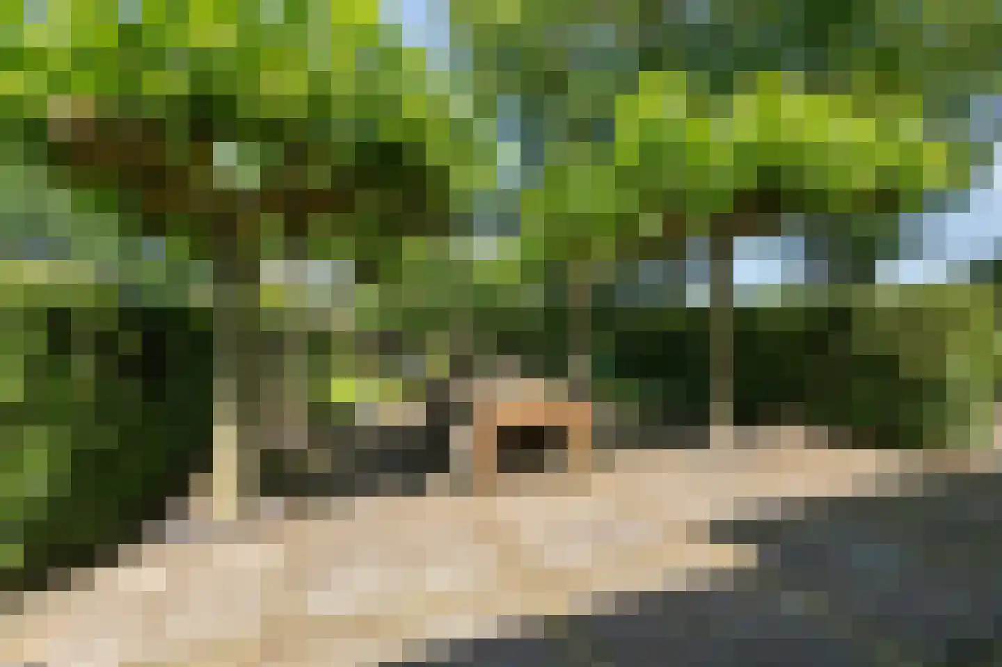 Heideweg 6 Overasselt thumbnail 45