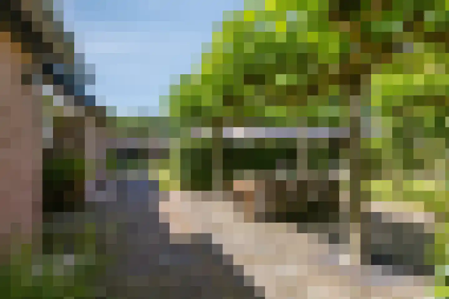 Heideweg 6 Overasselt thumbnail 46