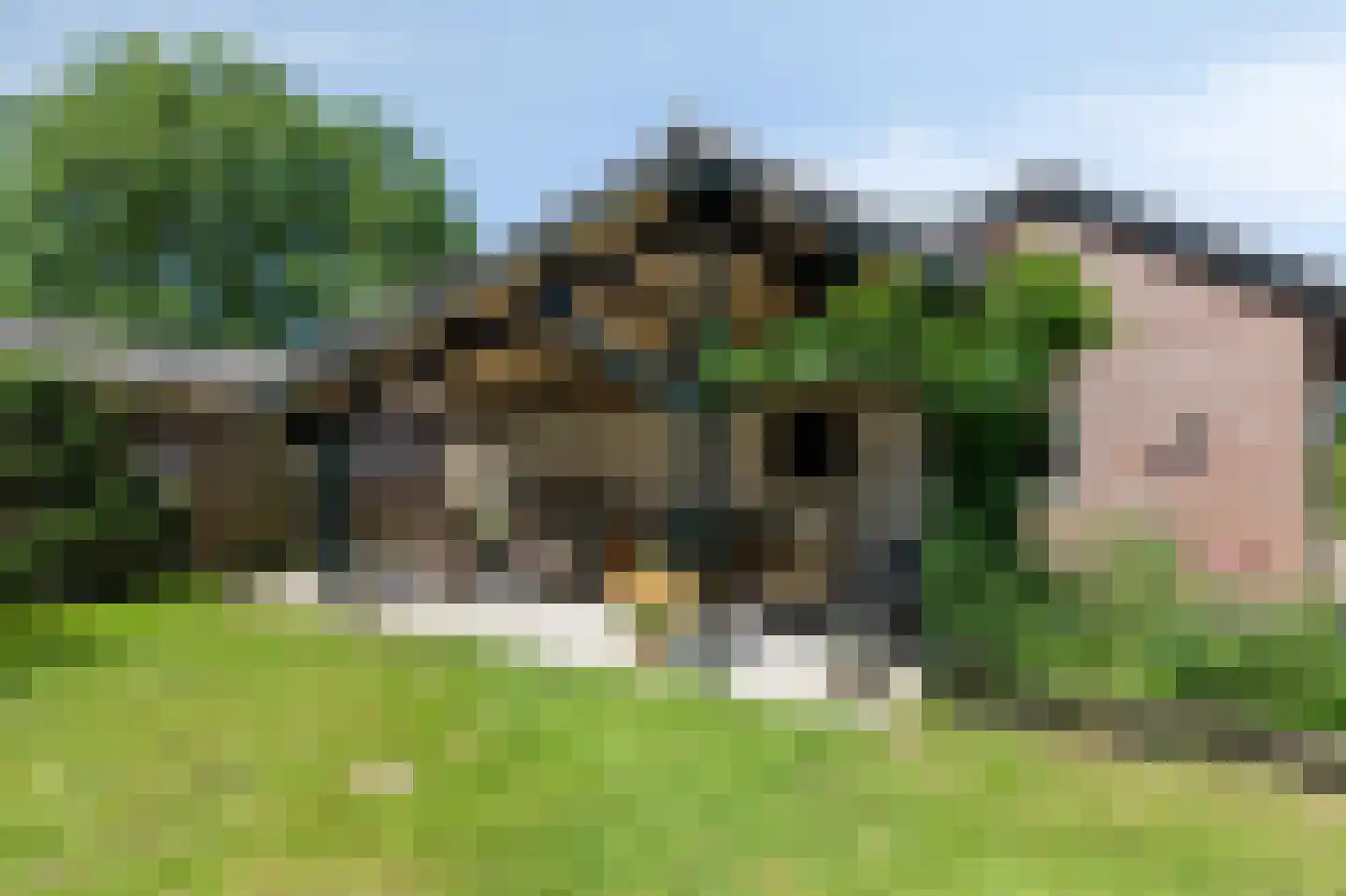 Heideweg 6 Overasselt thumbnail 47