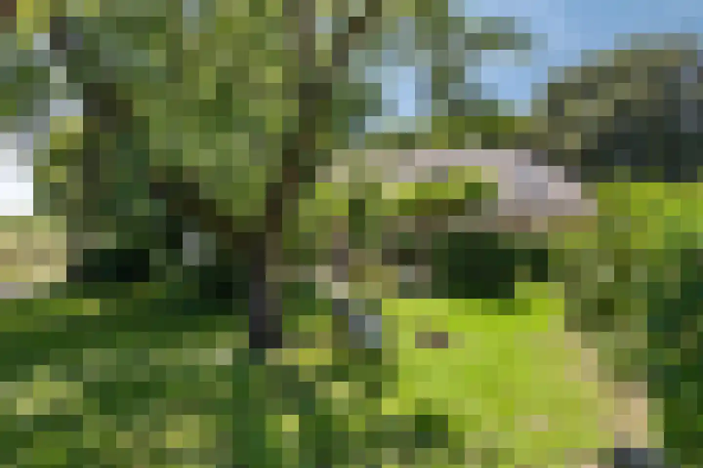 Heideweg 6 Overasselt thumbnail 49