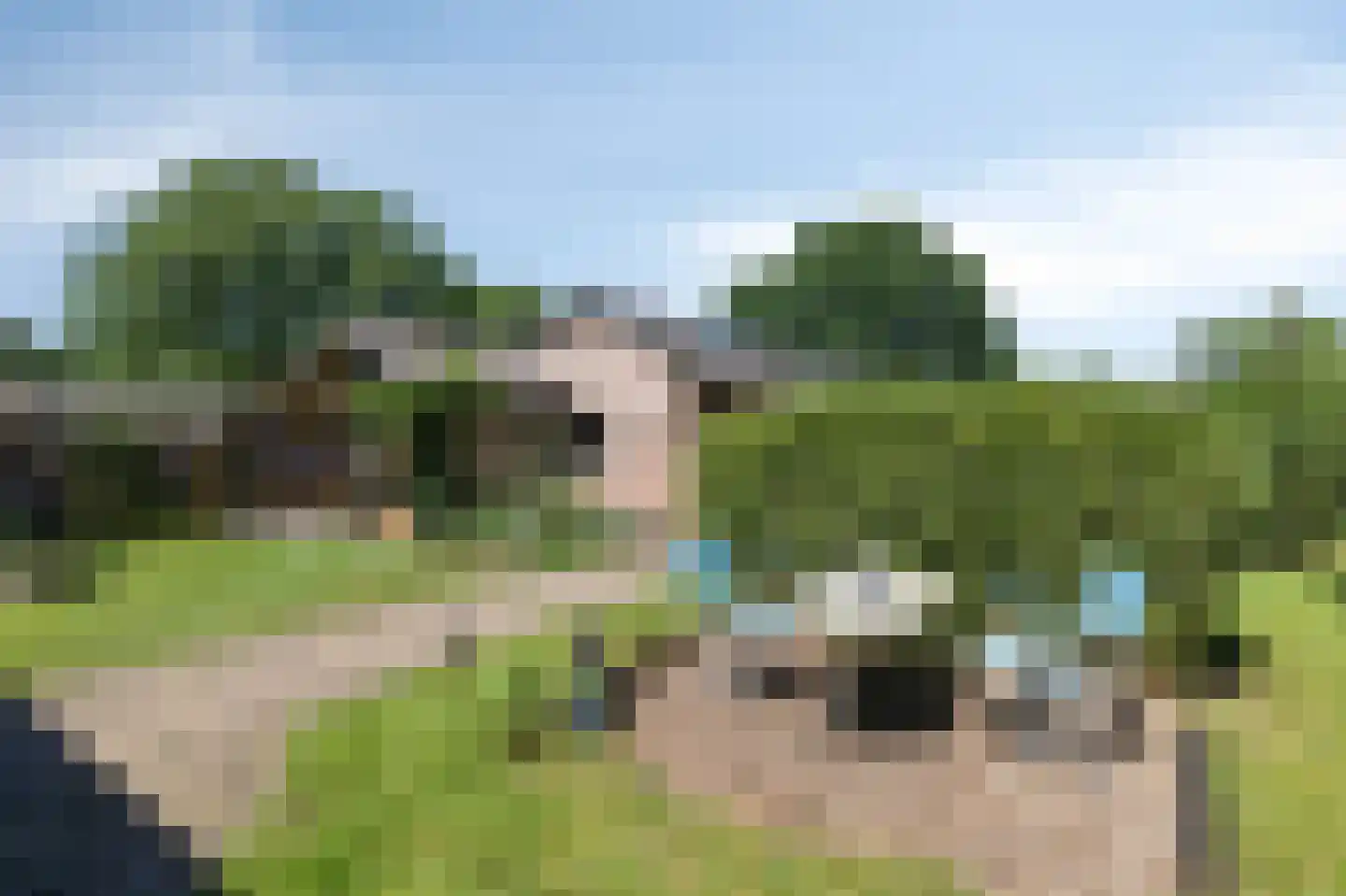 Heideweg 6 Overasselt thumbnail 50
