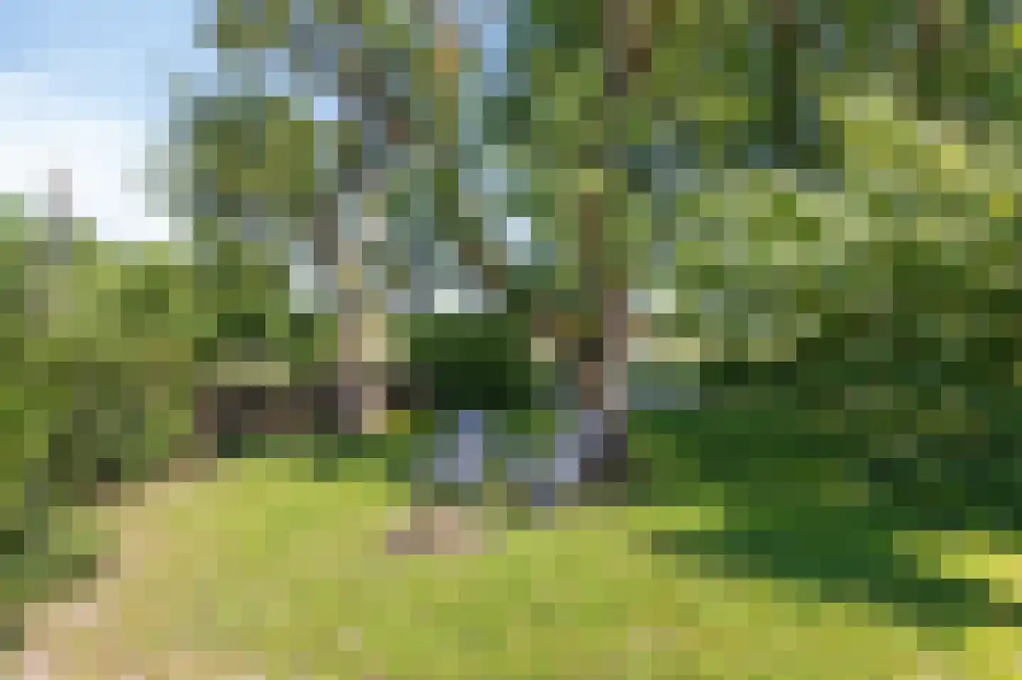 Heideweg 6 Overasselt thumbnail 52